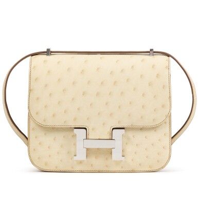 View full screen - View of Béton Ostrich Mini Constance 18 Palladium Hardware, 2021.