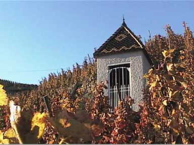 View full screen - View 1 of Lot 343. Côte Rôtie, Côte Blonde 2011 René Rostaing (12 BT).