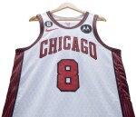 Zach LaVine Chicago Bulls 2022-2023 Game Worn City Edition Jersey