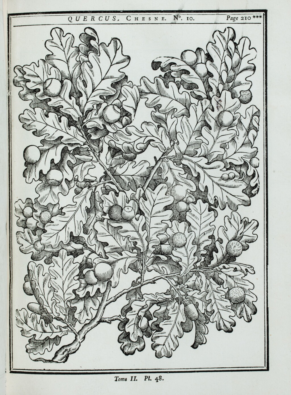 View full screen - View 1 of Lot 24. Traité des arbres... Paris,1755. 2 vol. in-4. Reliure de l'époque. Edition originale..