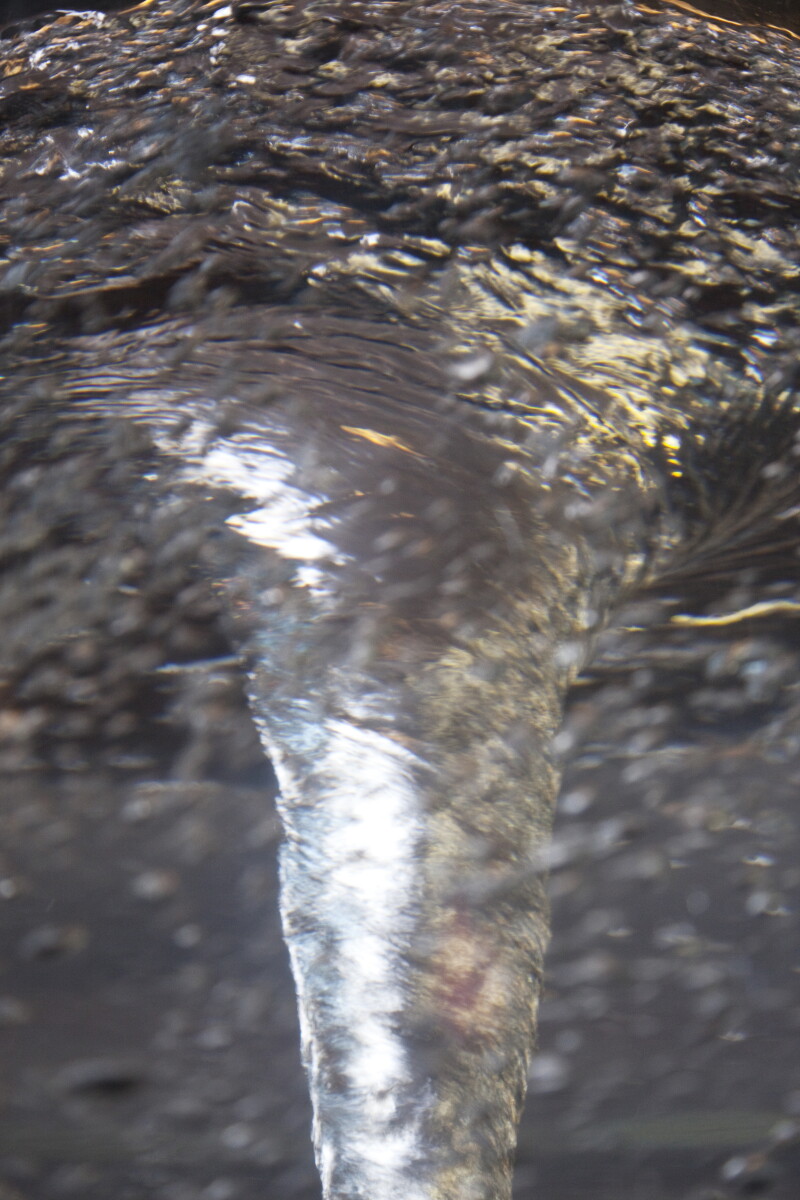 Cover image 0