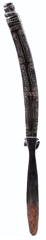 SPATULE À CHAUX, PAPOUASIE NOUVELLE GUINÉE