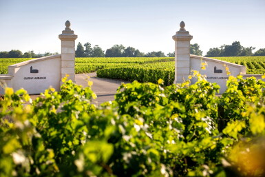 View full screen - View 1 of Lot 469. Château Lagrange (St. Julien) 2015 (24 BT).