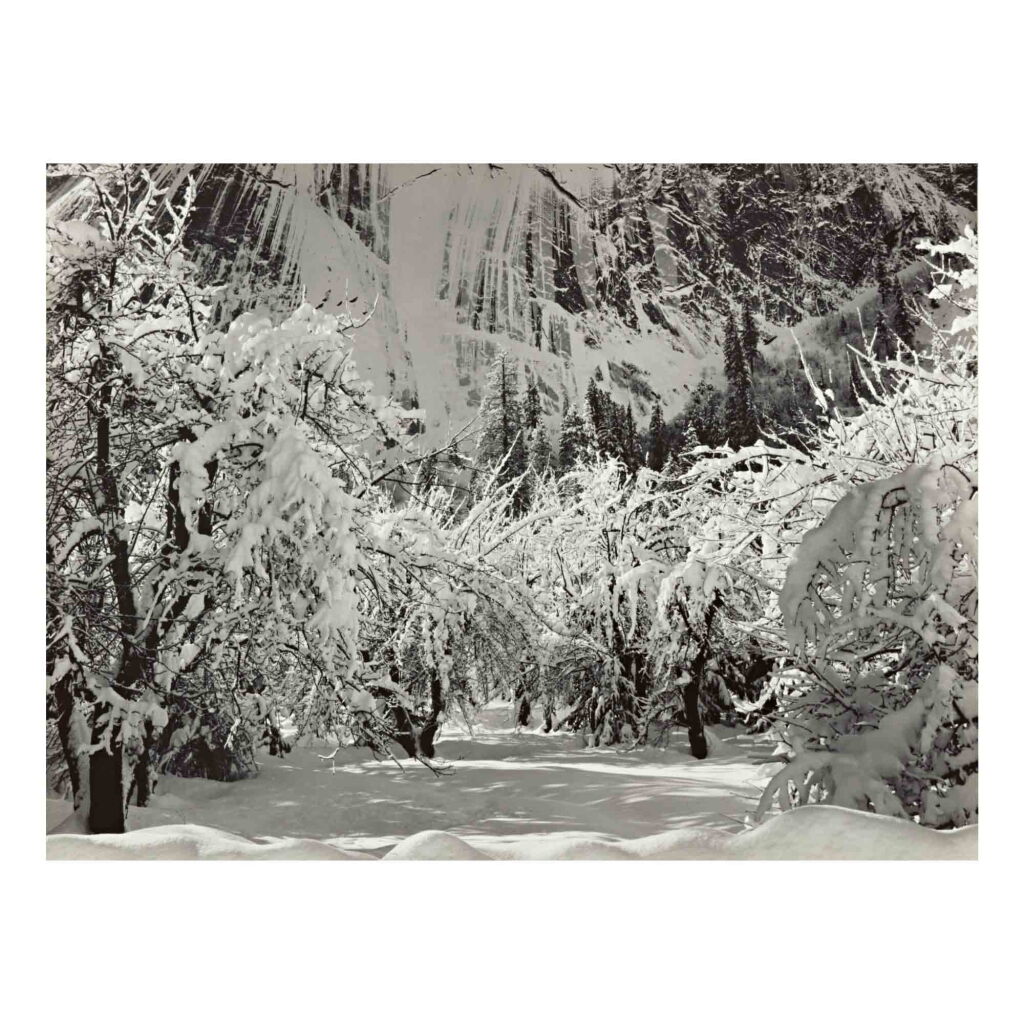 View full screen - View 1 of Lot 50. Orchard, Camp Curry, Winter, Yosemite Valley, California.