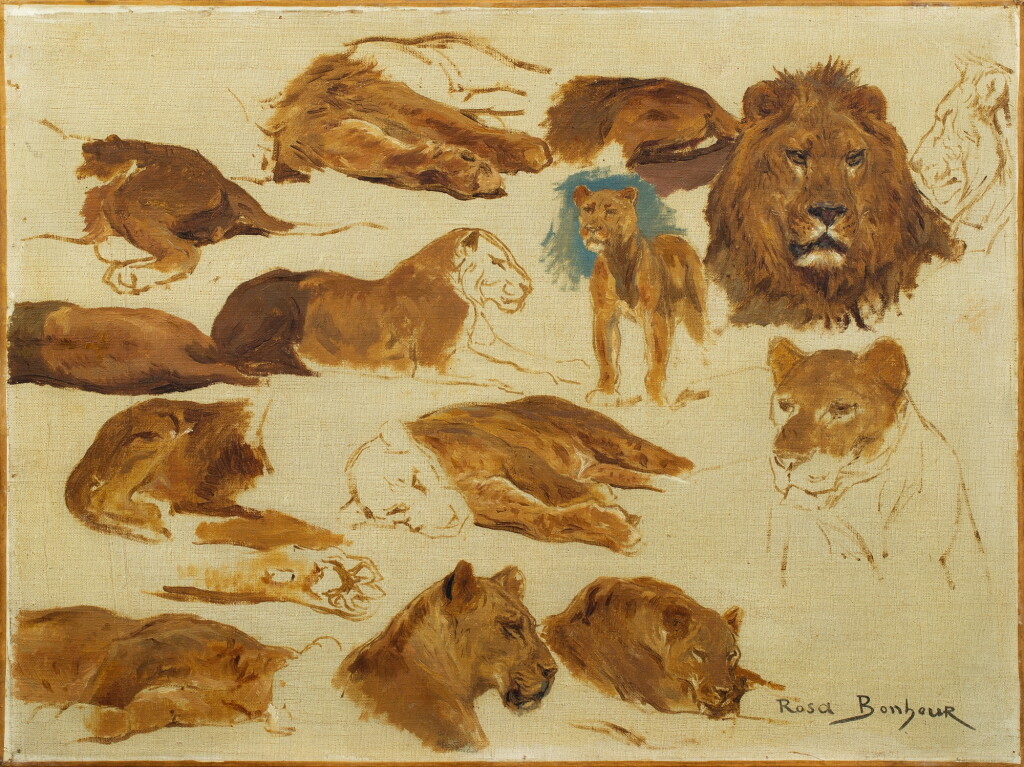 View full screen - View 1 of Lot 65. A sketch of lions and lionesses | Esquisses de lions et lionnes.