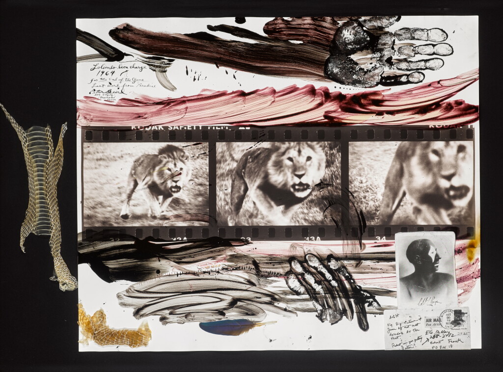 View full screen - View 1 of Lot 34. PETER BEARD | 'LOLIONDO, LION CHARGE', 1964.