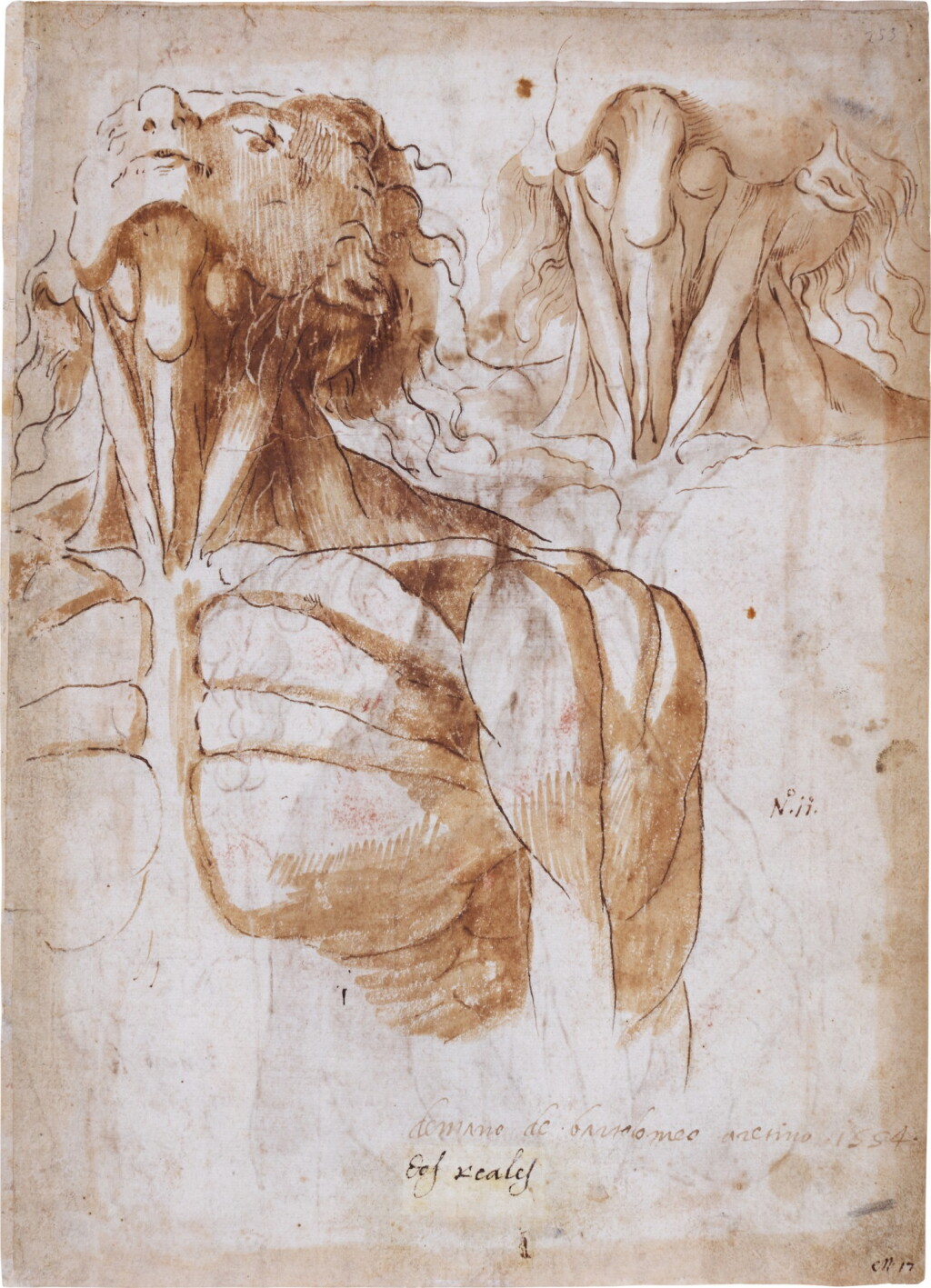 View full screen - View 1 of Lot 70. Two double-sided sheets of écorché anatomy studies: A) Recto: Study of a man's head and neck and a separate study of his neck Verso: Profile study of a man's head, neck and upper body B) Recto: Studies of legs Verso: Studies of feet.