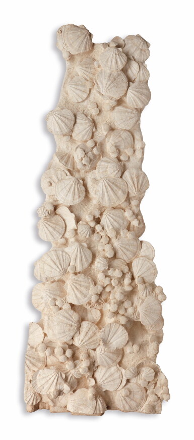 View full screen - View 1 of Lot 50. "LE CHEMIN DE COMPOSTELLE" - A SCULPTURAL MURAL PLAQUE OF FOSSILIZED SAINT JACQUES SHELLS.