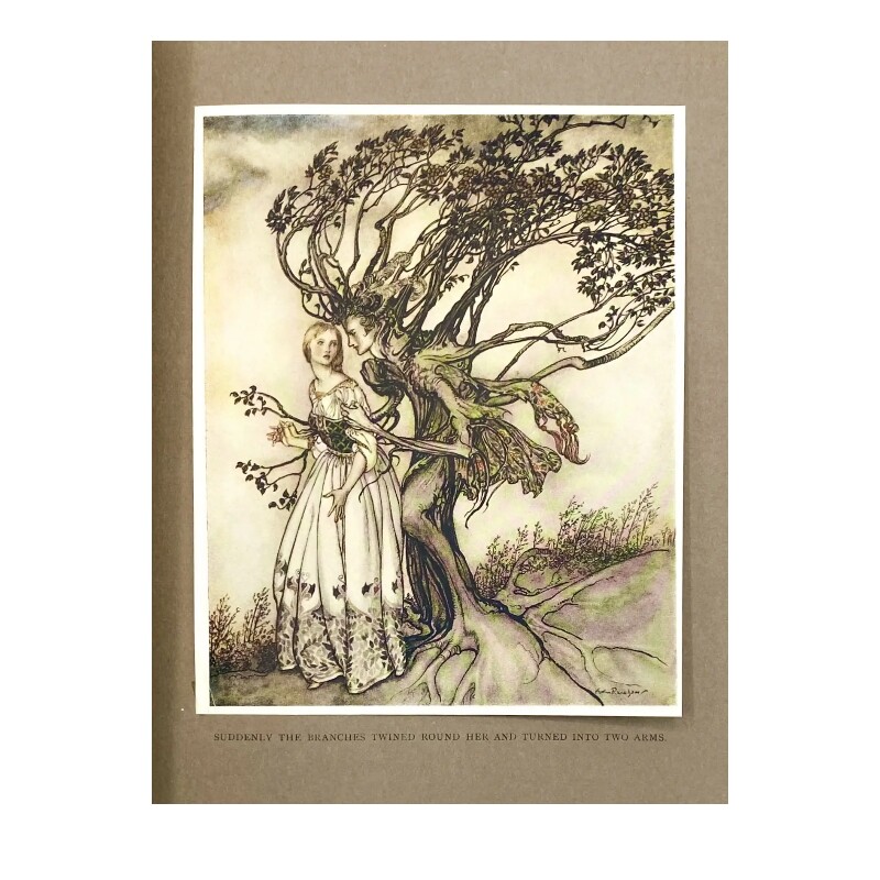 Cover image 0