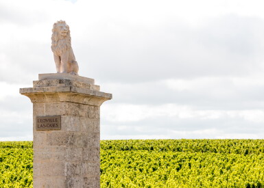 View full screen - View 1 of Lot 660. Château Léoville Las Cases 2000 (12 BT).