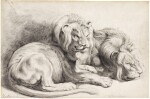 Two lions, after Rubens