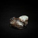 A greyish-white and russet jade dragon tortoise, Song - Yuan dynasty 宋至元 灰白玉龍龜
