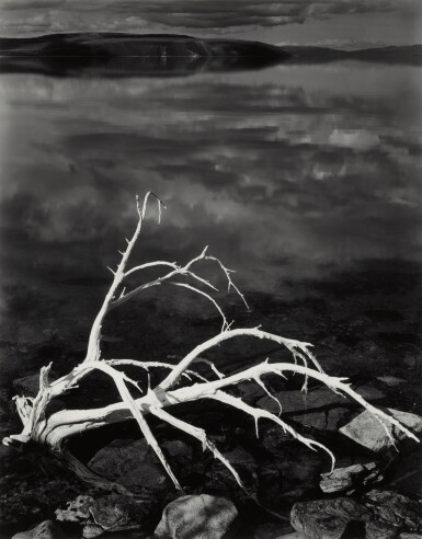 View full screen - View 1 of Lot 68. 'White Branches, Mono Lake, California'.