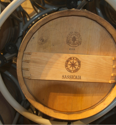 View full screen - View 1 of Lot 456. Sassicaia 2016 Tenuta San Guido (3 MAG).