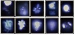 Untitled (Blue)