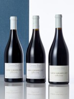 Vosne Romanée, Vieilles Vignes 2009 Domaine Bizot (1 BT)
