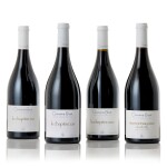Bourgogne le Chapitre Rouge 2020 Domaine Bizot (3 BT)