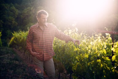 View full screen - View 1 of Lot 166. Mt. Brave, Cabernet Sauvignon, Mount Veeder 2024 (60 BT) .