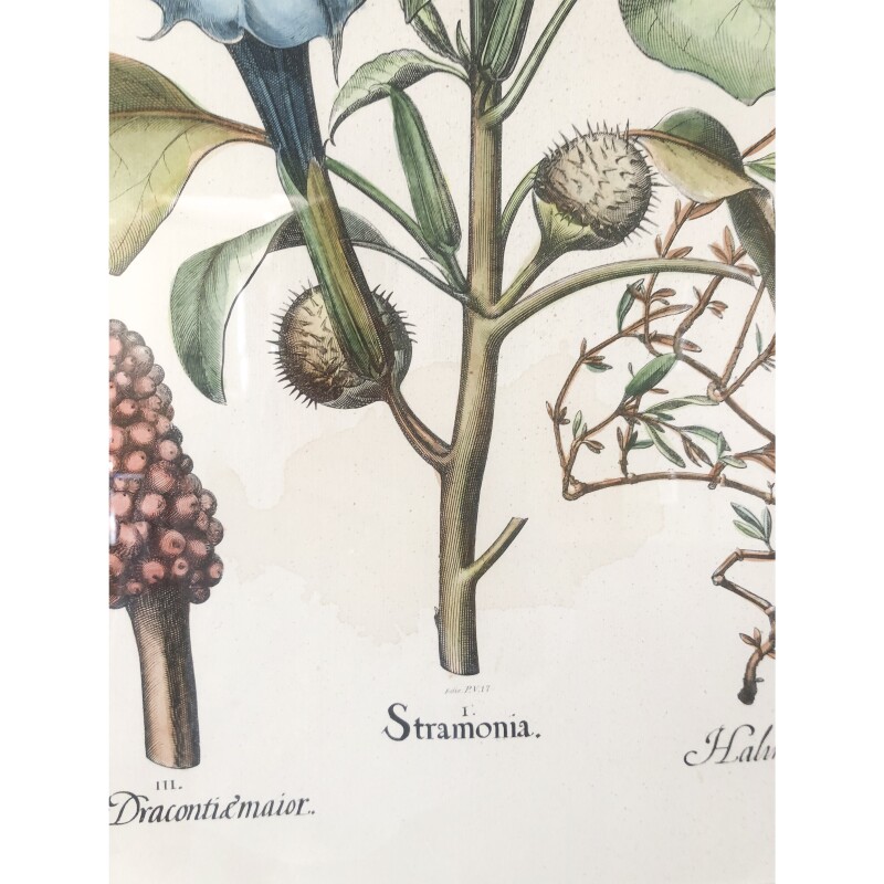 Cover image 0