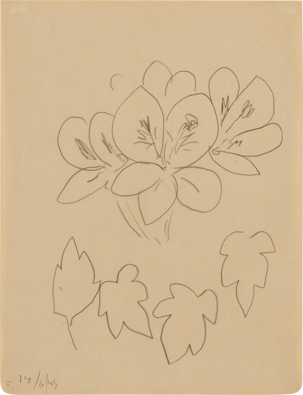 View full screen - View 1 of Lot 359. Fleurs.