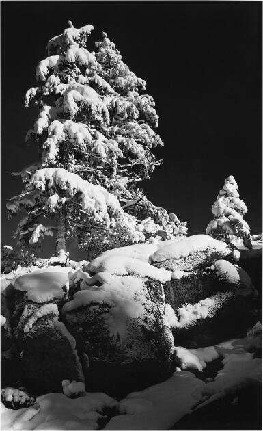 View full screen - View 1 of Lot 28. Snow Covered Tree.