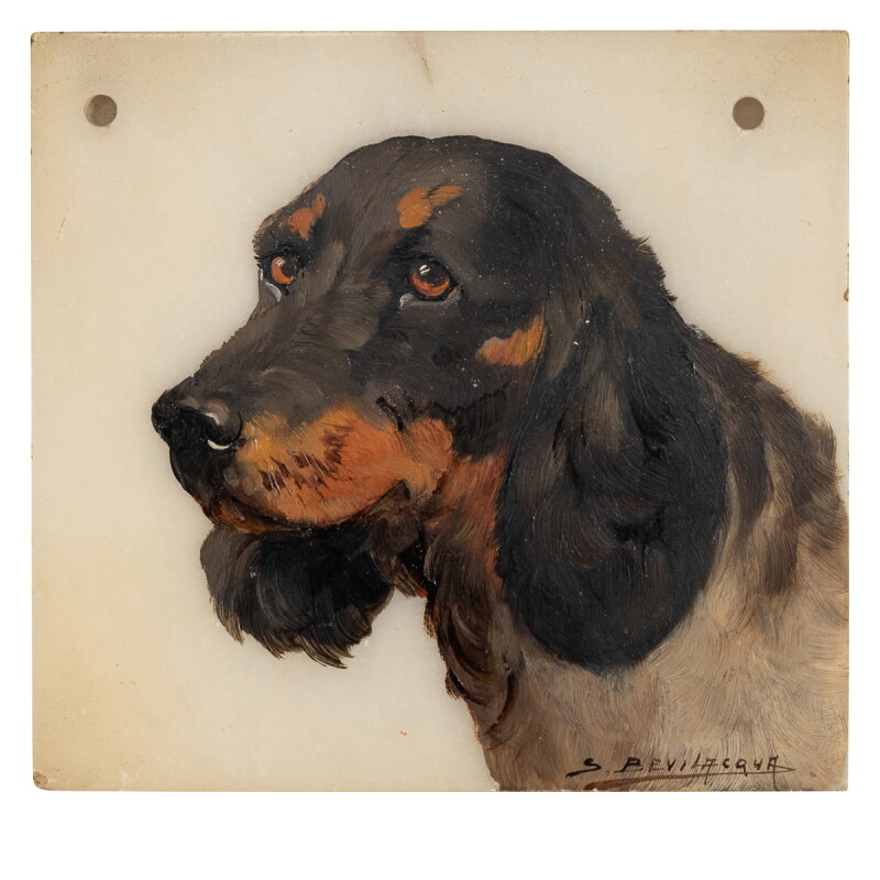 Cover image 0