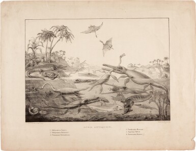 View full screen - View 1 of Lot 16. Henry de la Beche | Duria Antiquior, lithograph, 1830.