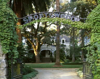 View full screen - View 1 of Lot 1064. Spottswoode Estate Vineyard & Winery, Cabernet Sauvignon, St. Helena 1985 (6 BT).