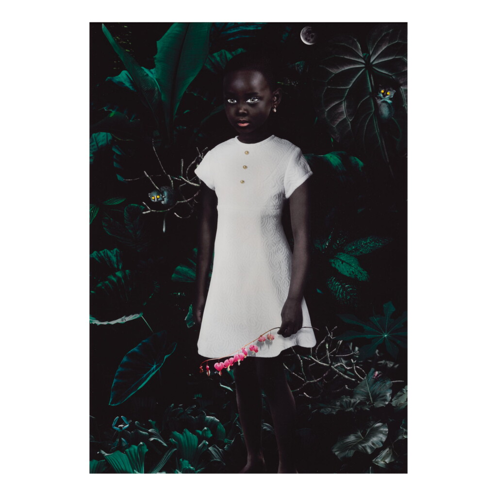 全螢幕檢視 - 查看66RUUD VAN EMPEL | 'MOON #1'的1