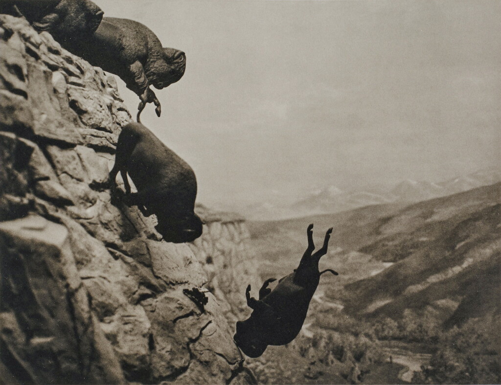 View full screen - View 1 of Lot 107. Untitled (Buffaloes).