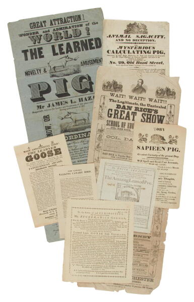 View full screen - View 1 of Lot 398. (Learned Animals) | "Animal Sagacity, and No Deception".