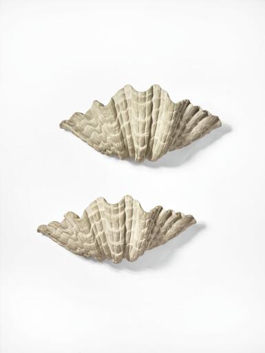 View full screen - View 1 of Lot 51. Pair of Shell Sconces.
