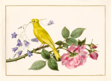View full screen - View 1 of Lot 75. A canary perched on the branch of a pink rose, carrying harebells in its beak.