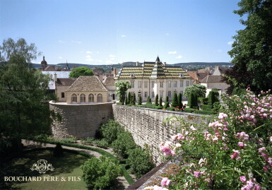 View full screen - View 1 of Lot 850. Gevrey Chambertin, Lavaux St. Jacques 2005 Bouchard Père et Fils (12 BT).