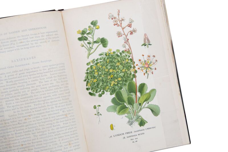 Cover image 0