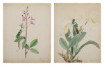 TWO WORKS: PRAYING MANTIS
