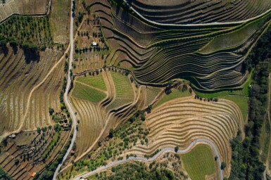 View full screen - View 1 of Lot 224. Niepoort 2011 (5 BT).