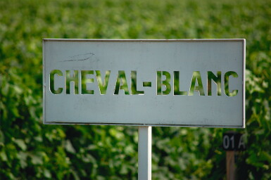 View full screen - View 1 of Lot 1263. Château Cheval Blanc 1982 (11 BT).