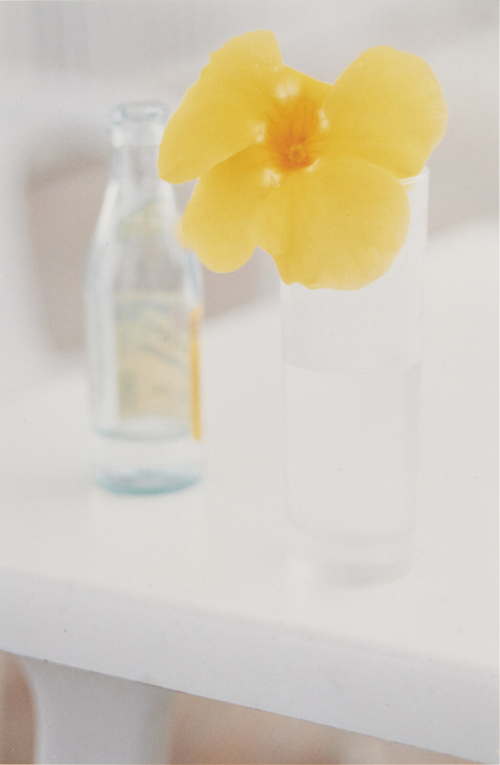 View full screen - View 1 of Lot 32. Yellow Flower, St. Barts.