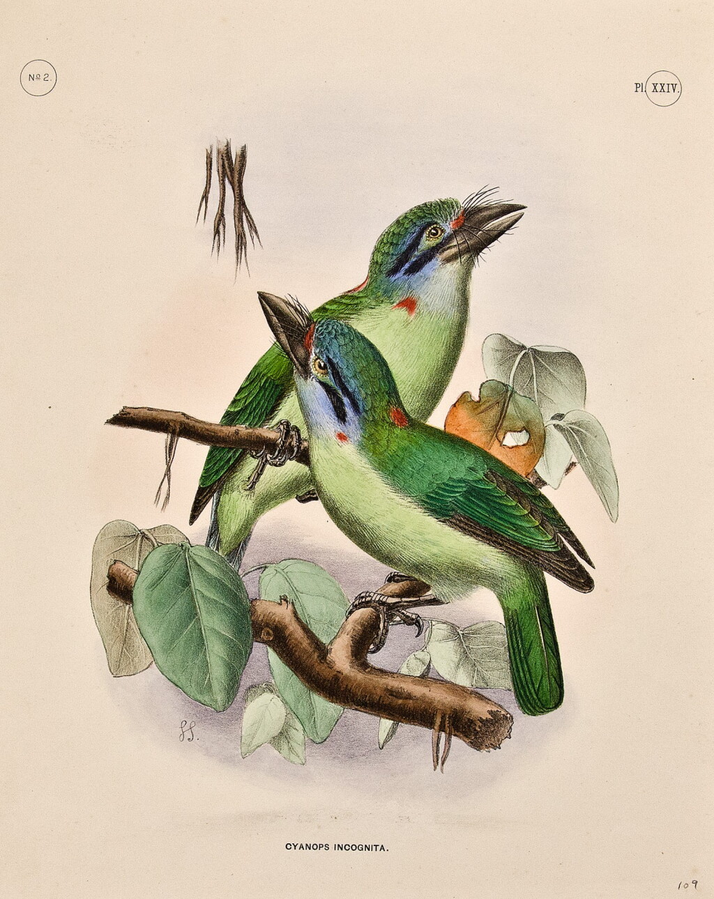 View full screen - View 1 of Lot 128. Sharpe, Richard Bowdler. The ornithological section of the official scientific results of an expedition in India.