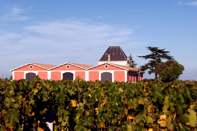 View full screen - View 1 of Lot 195. Château l'Evangile 2005 (12 BT).