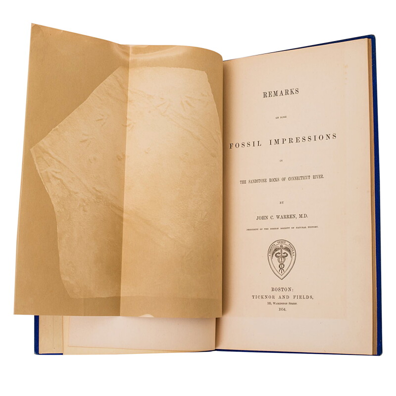 Cover image 0