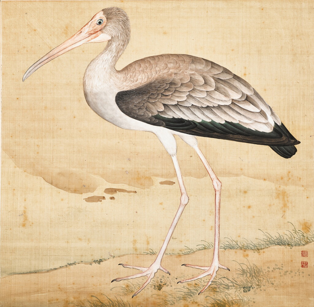 View full screen - View 1 of Lot 3088. Jiang Tingxi, Warbler | 蔣廷錫 《鳥譜》麥黃鶯.