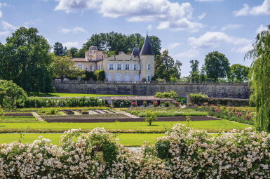 View full screen - View 1 of Lot 1045. Château Lafite 2014 (12 BT).