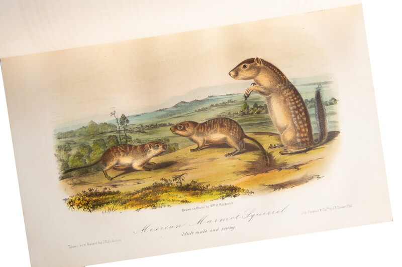 Cover image 0