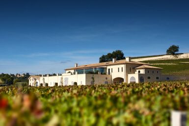 View full screen - View 1 of Lot 109. Château Pavie 2004  (12 BT).