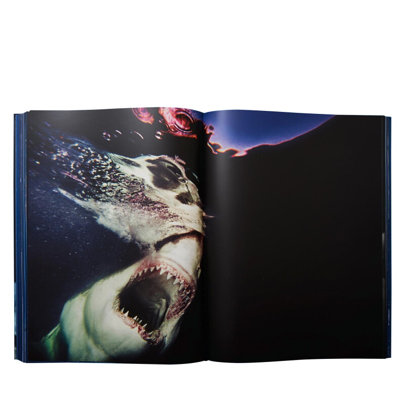 Cover image 0