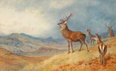 View full screen - View 1 of Lot 136. ARCHIBALD THORBURN | RED DEER IN A HIGHLAND LANDSCAPE.