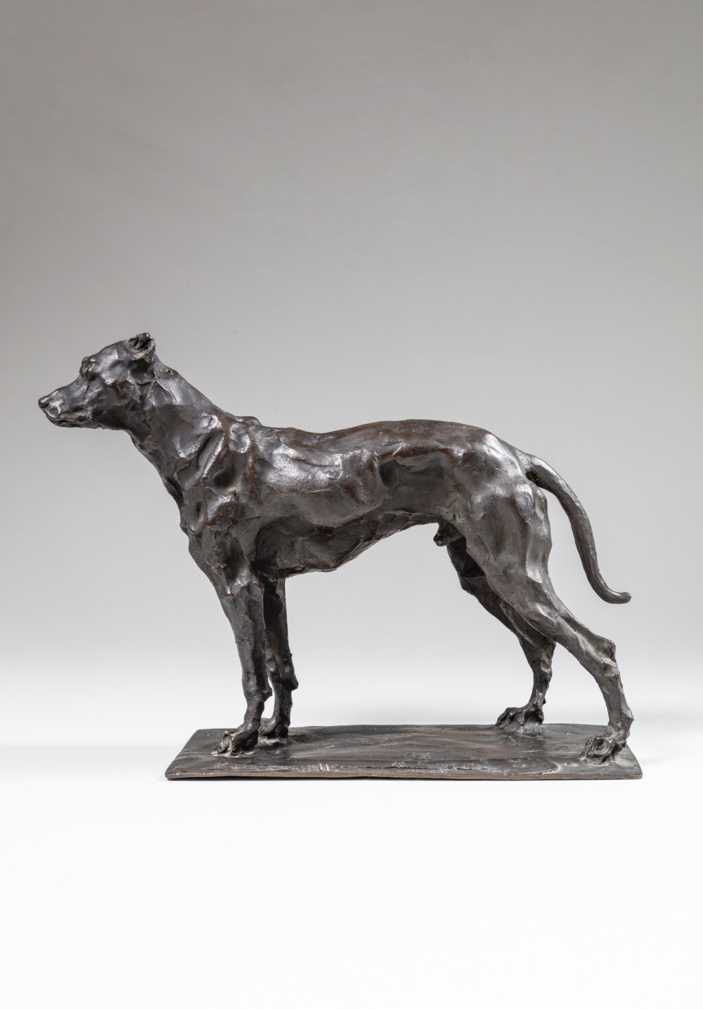 View full screen - View 1 of Lot 234. Chien de berger.