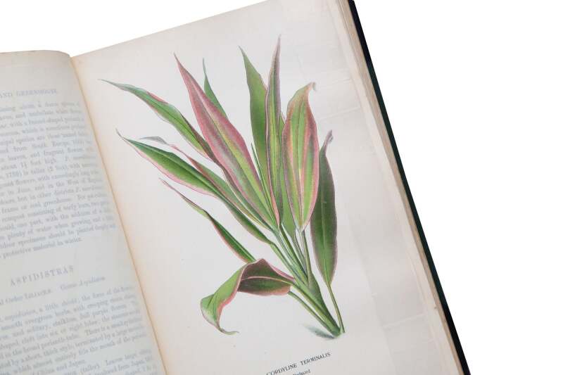 Cover image 0